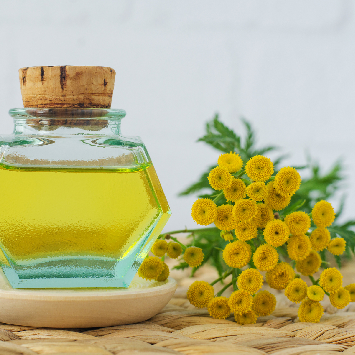 Blue Tansy & Apricot Oil Are Essential for Sensitive Skin
