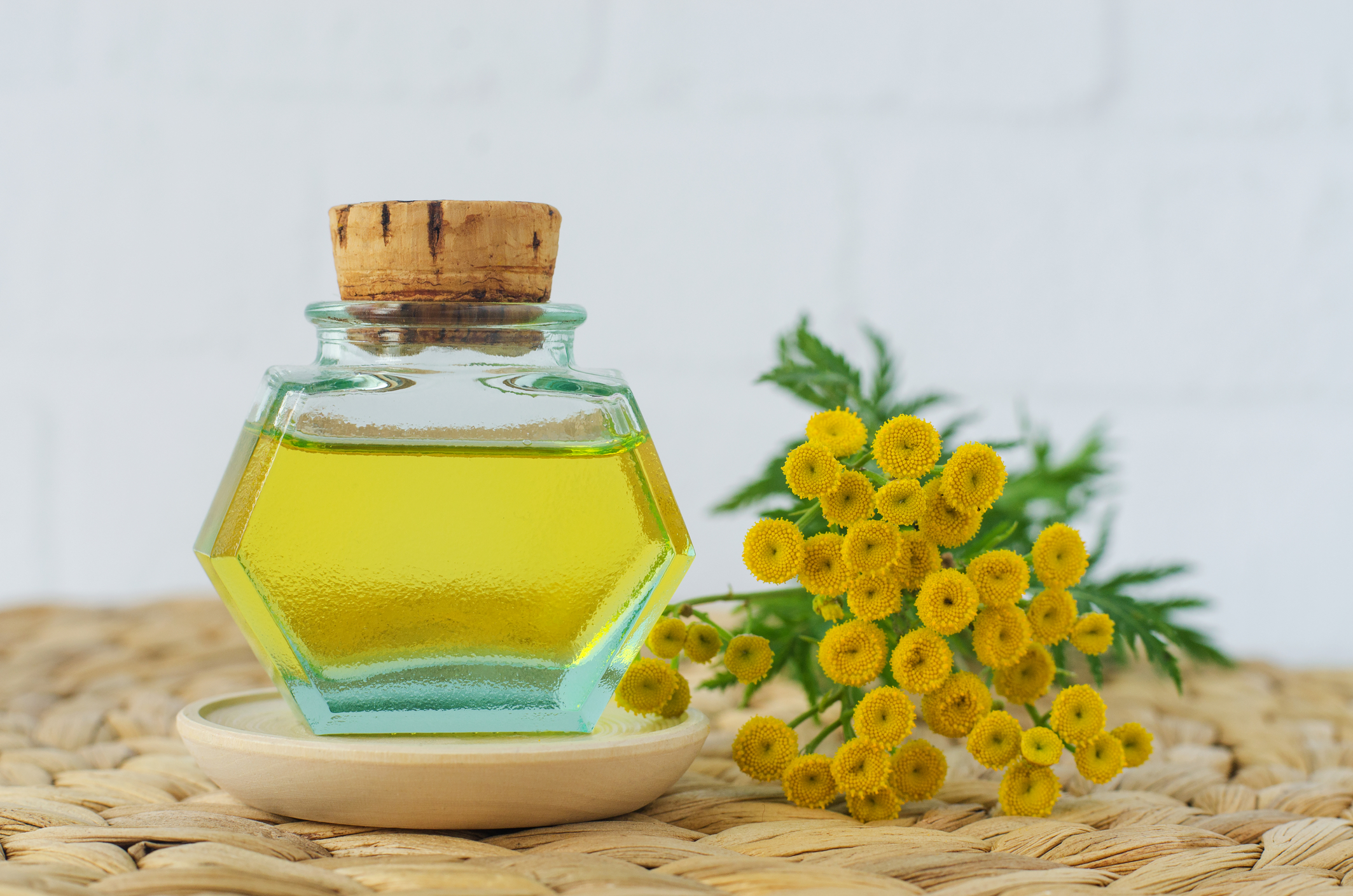 Blue Tansy and Apricot Oil Soothe and Hydrate Sensitive Skin