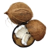 WOO Coconut Oil