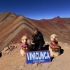 Traveler with llamas at Peru’s colorful Rainbow Mountain