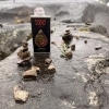 Black perfume bottle nestled among wet rocks