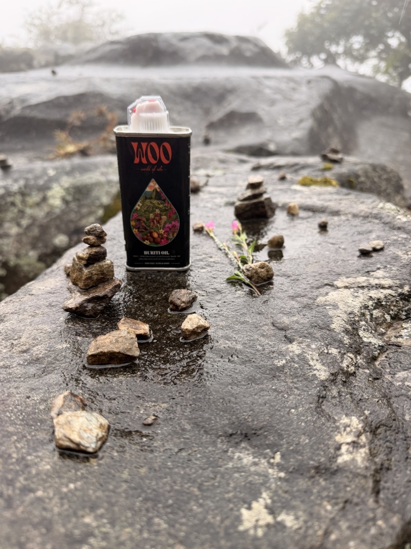 Black perfume bottle nestled among wet rocks